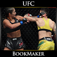 UFC Fight Night Cynthia Calvillo vs. Nina Ansaroff